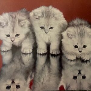 Happy Poshing! Glad you're Here!